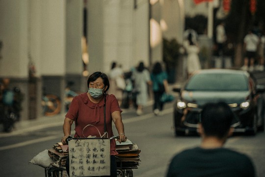 丝瓜榴莲向日葵草莓黄瓜香蕉的多元解读与探讨