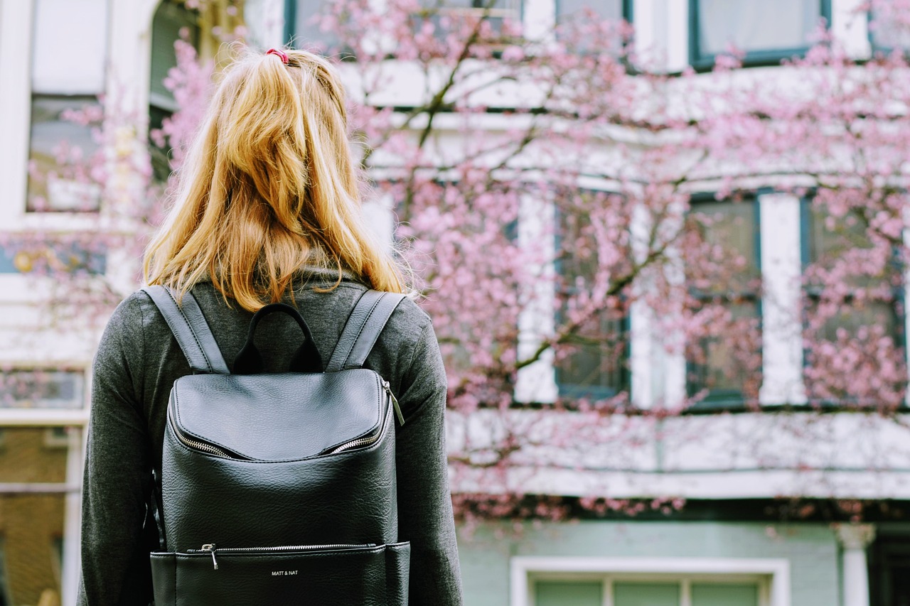 最新指南，解锁服装学习之旅，这些地方不容错过！